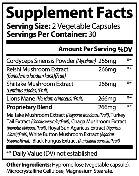 Mushroom 10X - Reishi, Lions Mane, Chaga, Cordyceps, Turkey Tail and More - 60ct